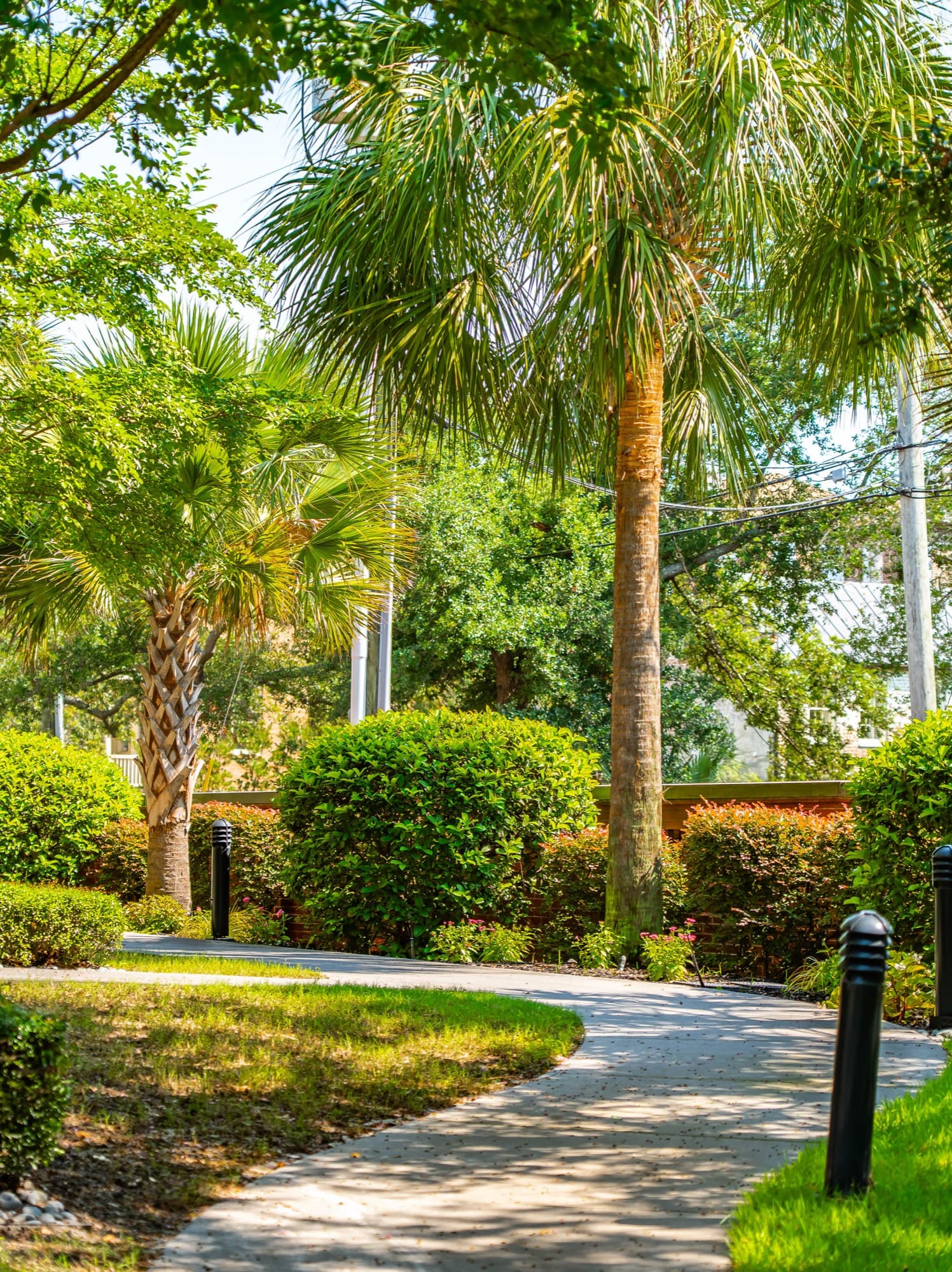 Palm trees shading a curved garden path on the Fisher House grounds.