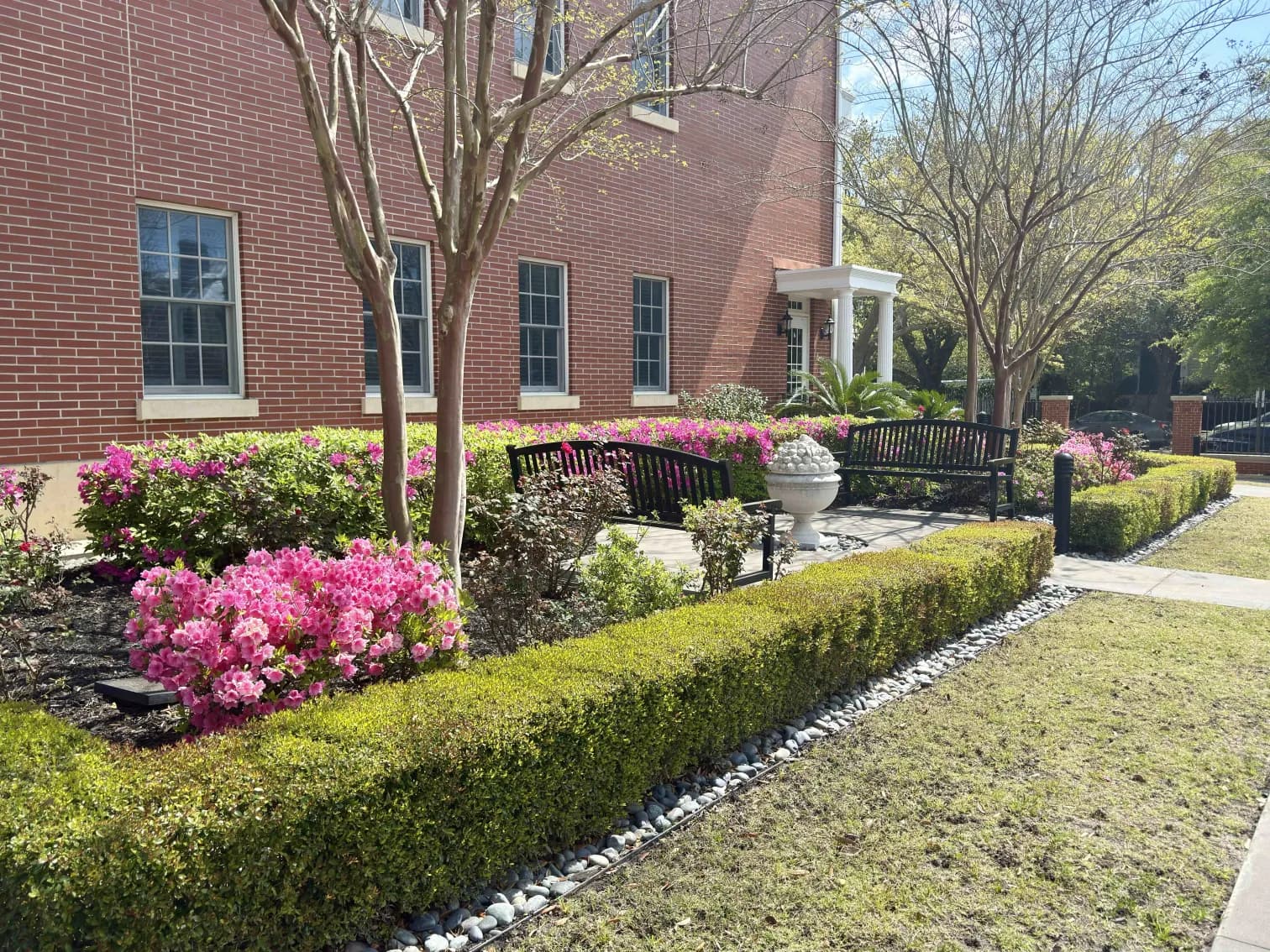 Pink azaleas and clipped boxwood hedges along the side of the Charleston Fisher House, with black benches on the walkway beneath a crape myrtle